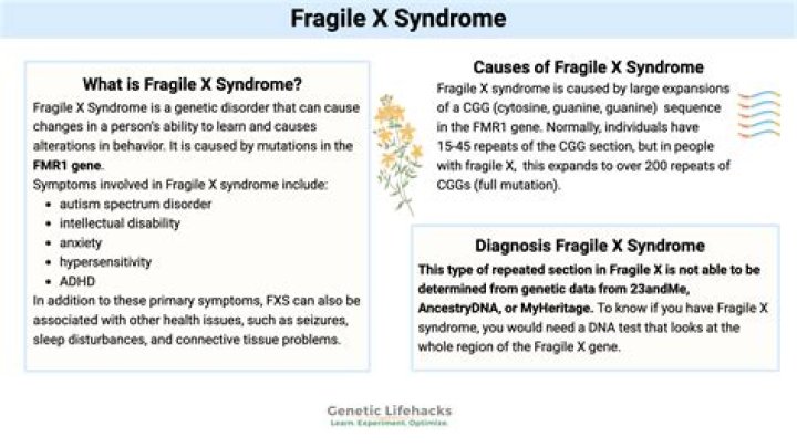 Can a person with fragile X syndrome live a normal life?