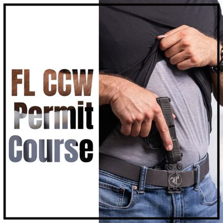 Can I check the status of my concealed weapons permit in Florida?