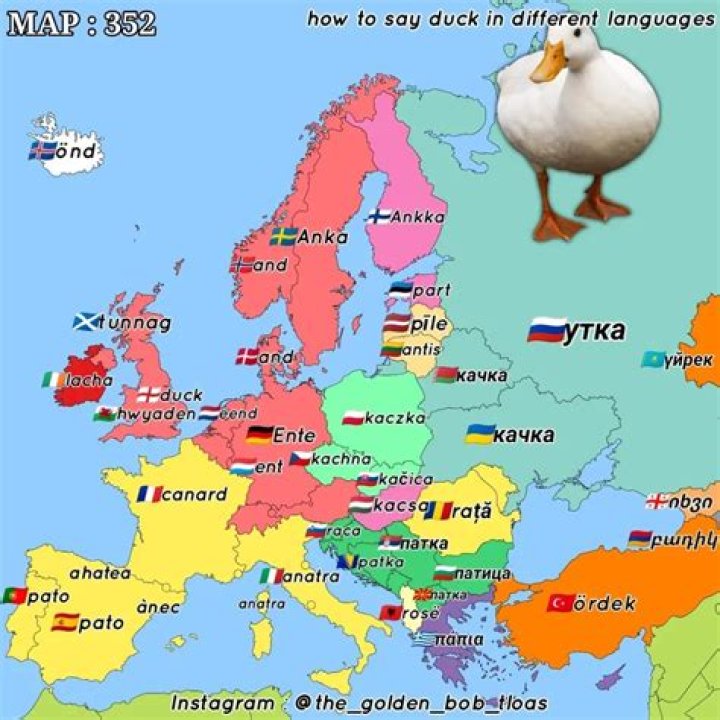 How do you say bird in Nordic?