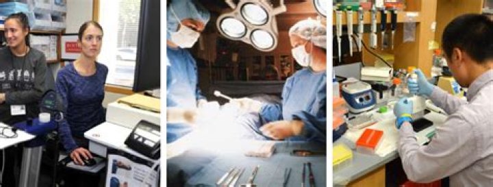 How long is cardio fellowship?