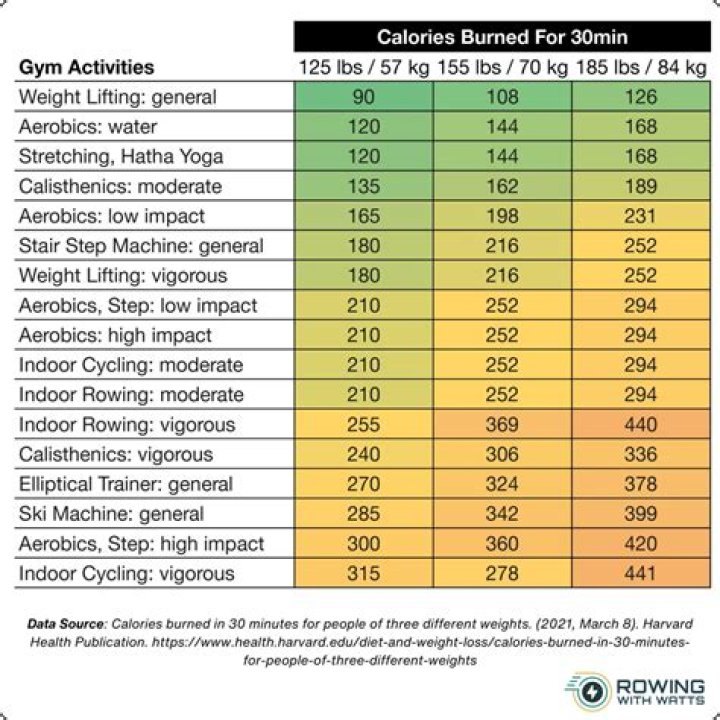 How many calories does 20 minutes on a rowing machine burn?