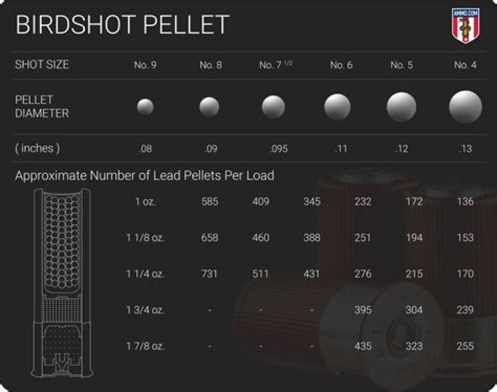 How many pellets does a 20 gauge have?