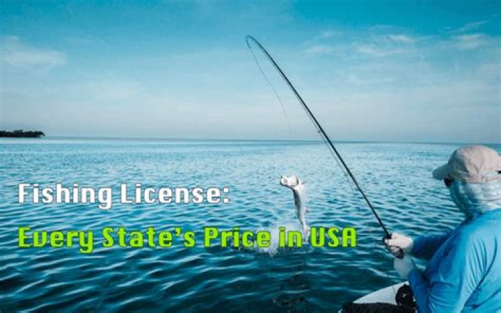 How much is a senior fishing license in Illinois?