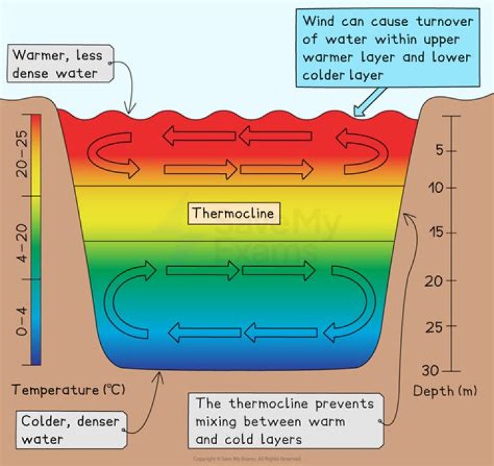 Is denser water colder?