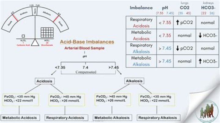 What are the 4 types of acid base imbalance?