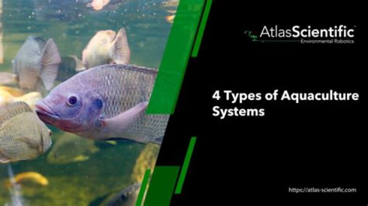 What are the four types of aquaculture systems?