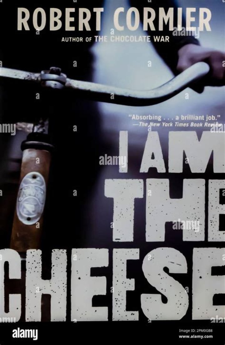 What is the message of I Am the Cheese?