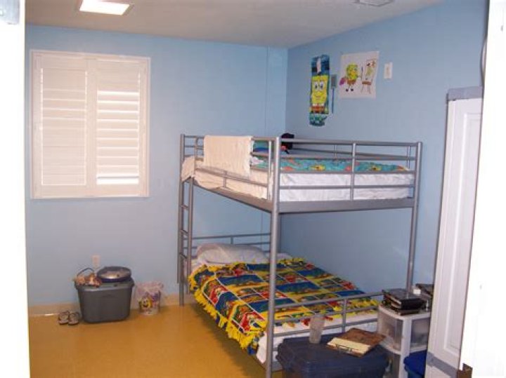 What services do shelter provide?