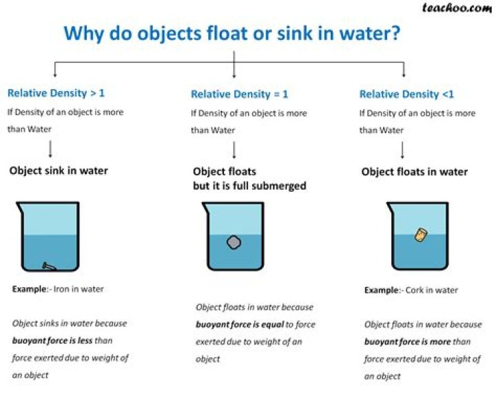 Why does an object float or sink?